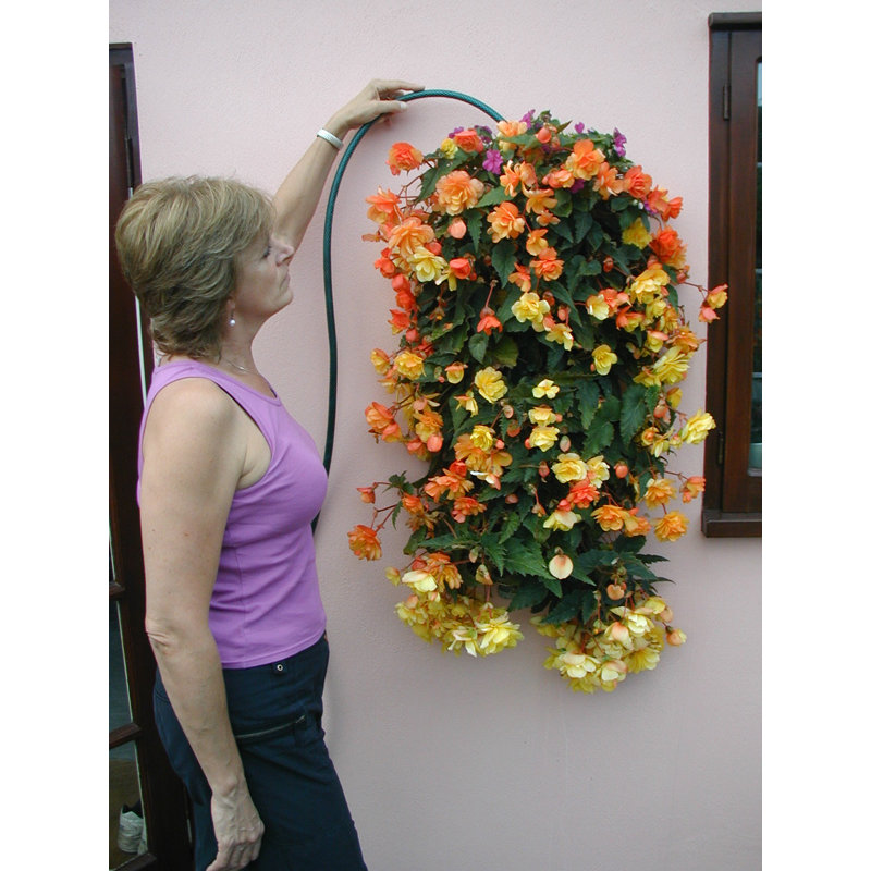 Symple Stuff Penman Wall Planter & Reviews Wayfair